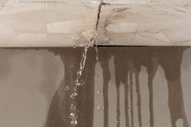 Professional Flood Damage Cleanup technician working in Logan, OH